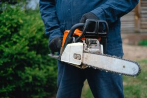 tree loppers in Brisbane Southside